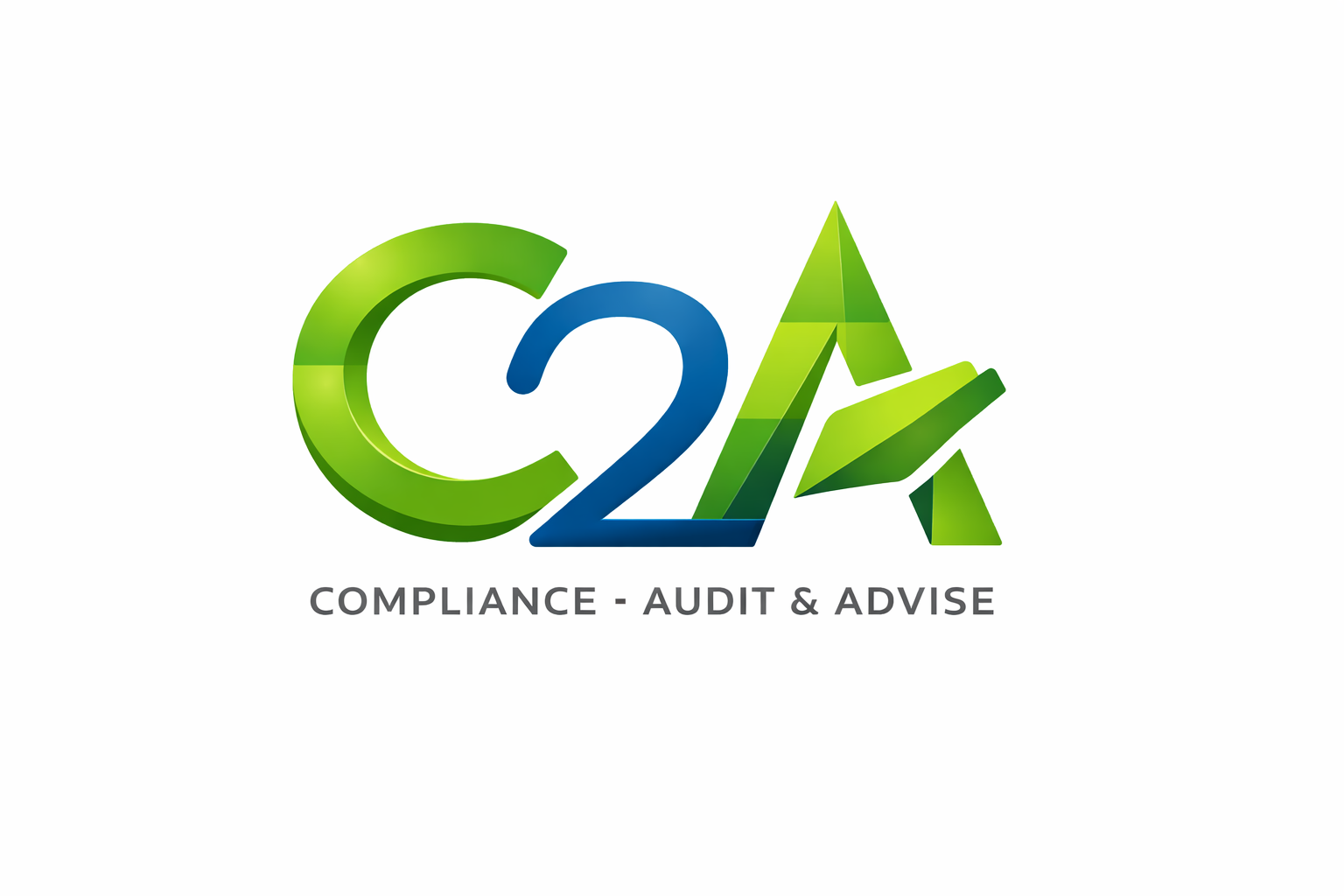 Compliance Audit and Advise